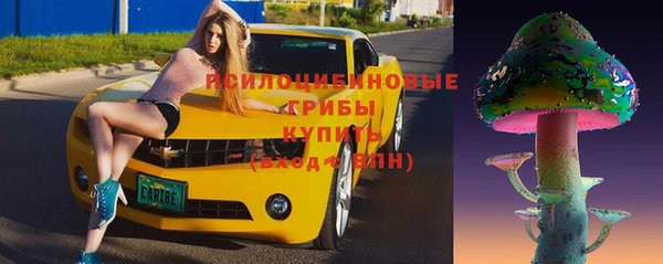 спайс Алексин
