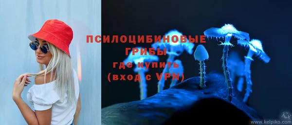 ешки Алзамай