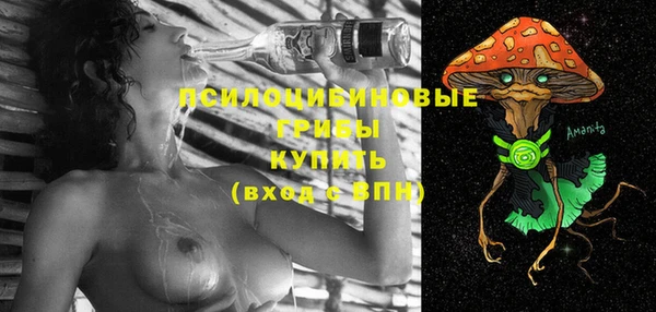 ешки Алзамай