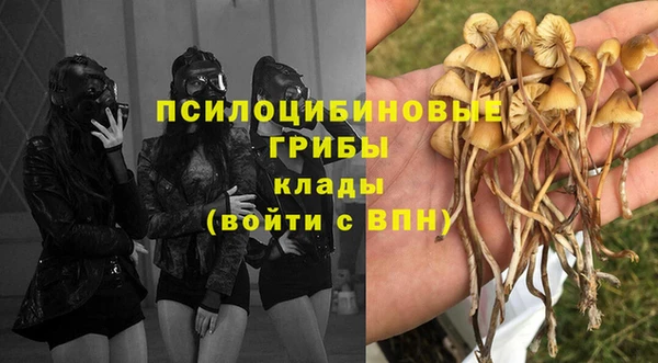 спайс Алексеевка