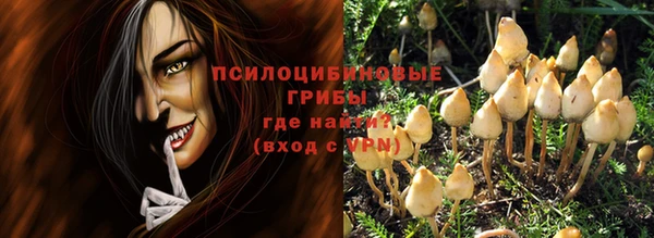 спайс Алексин
