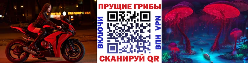 Галлюциногенные грибы Psilocybe  Тайшет 